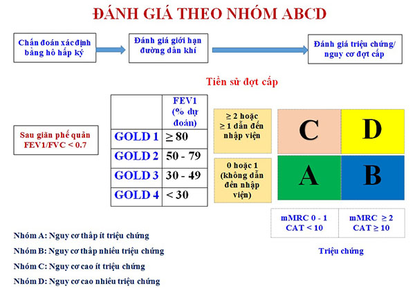 HƯỚNG DẪN ĐIỀU TRỊ BỆNH PHỔI TẮC NGHẼN MẠN TÍNH (COPD) 2018 CỦA VIỆT NAM
